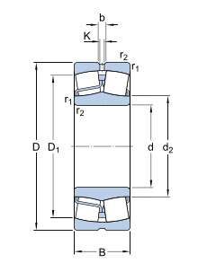 22224E SKF