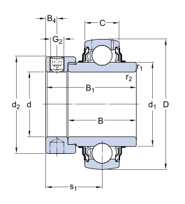 YEL205-100-2FW SKF