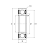 6313-2RS1/C3 SKF