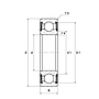 6004-2RSLTN9/C3VT162 SKF