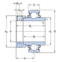 YEL205-100-2DW/AG SKF